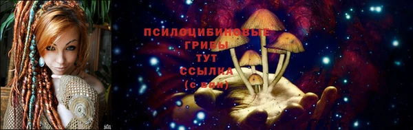 твердый Нея