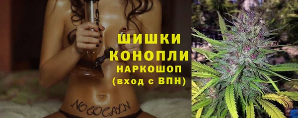Альфа ПВП Новозыбков