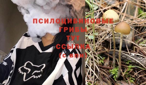 соль курить ск Новодвинск