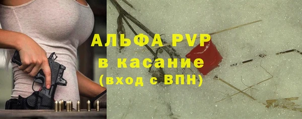 Альфа ПВП Новозыбков